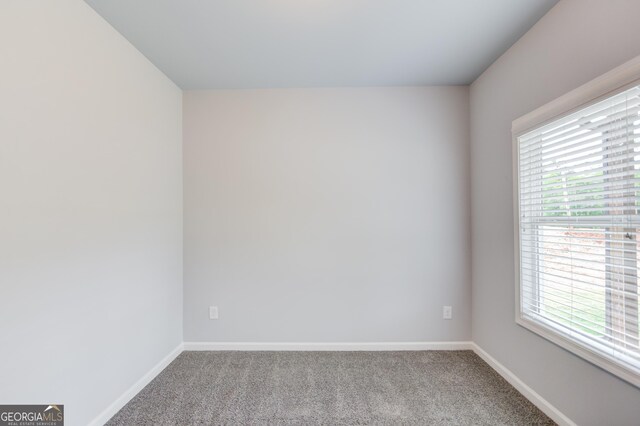 spare room with carpet floors