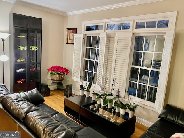 living room featuring hardwood / wood-style floors and crown molding