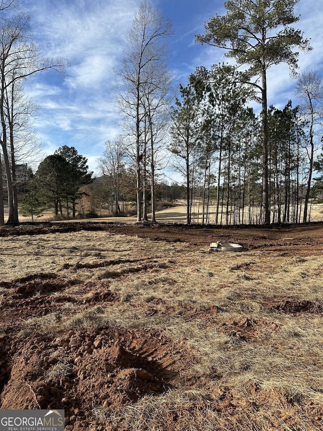 view of yard featuring a rural view