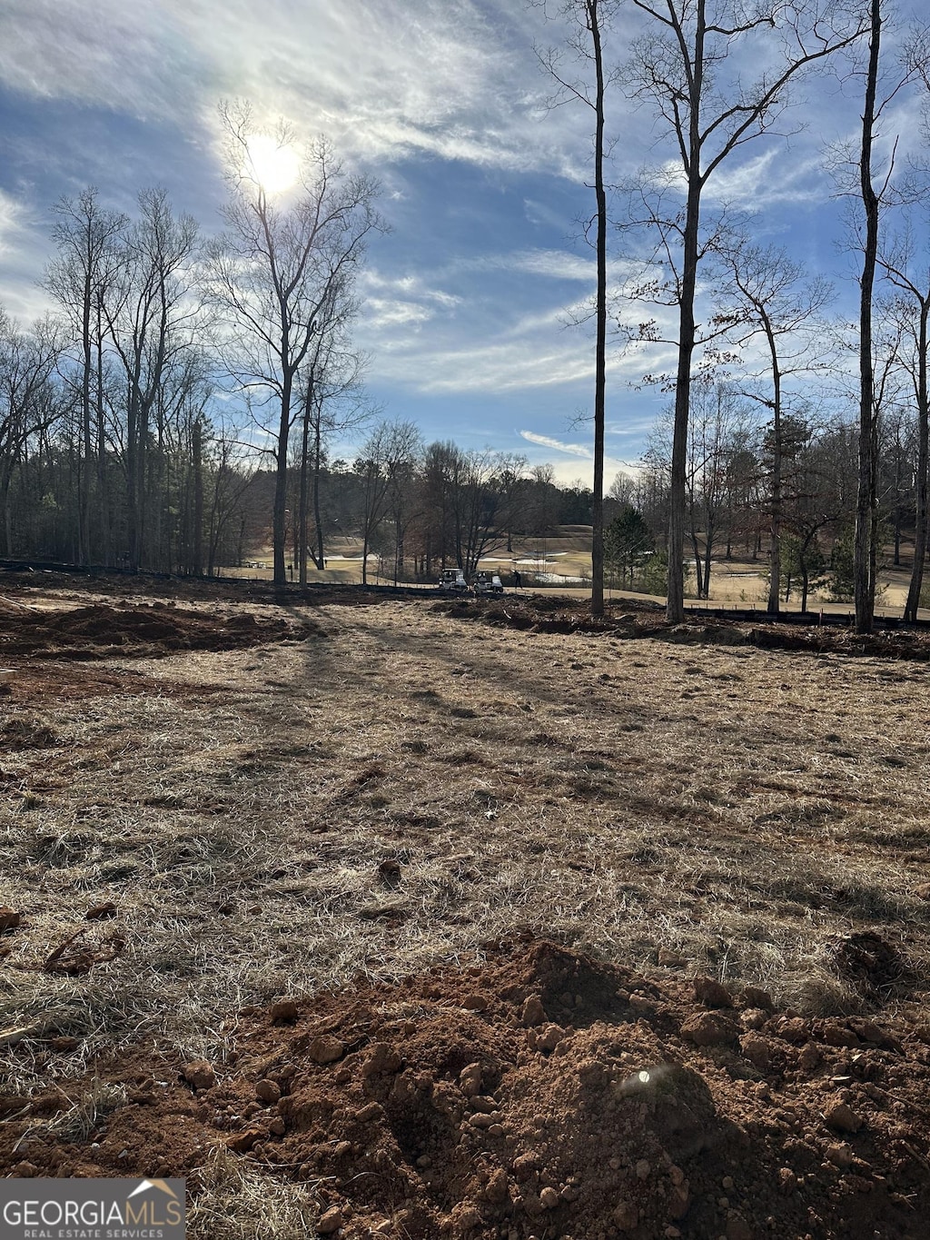 view of yard featuring a rural view