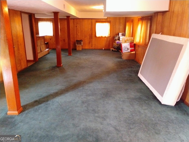 basement with wood walls and dark carpet