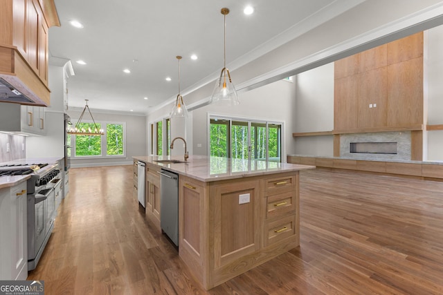 kitchen with a sink, stainless steel appliances, open floor plan, wood finished floors, and ornamental molding