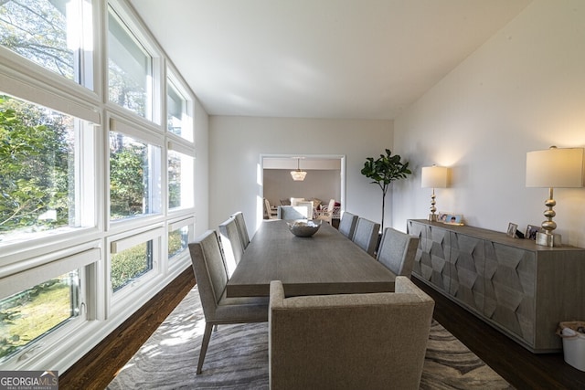 dining space featuring dark wood-type flooring