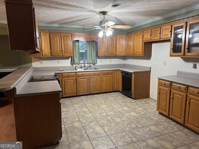 kitchen with ornamental molding, a textured ceiling, ceiling fan, sink, and black dishwasher