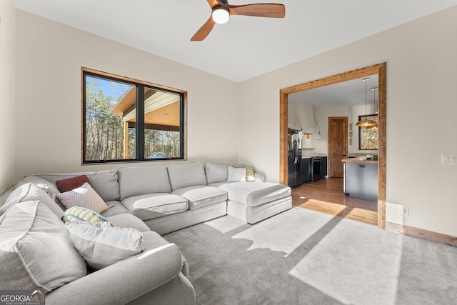 living room featuring ceiling fan and wood-type flooring