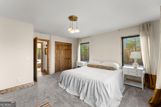 bedroom featuring multiple windows, carpet, and a closet