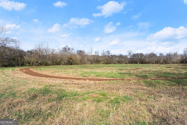 view of yard with a rural view