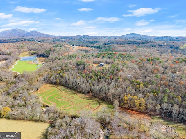 birds eye view of property featuring a mountain view