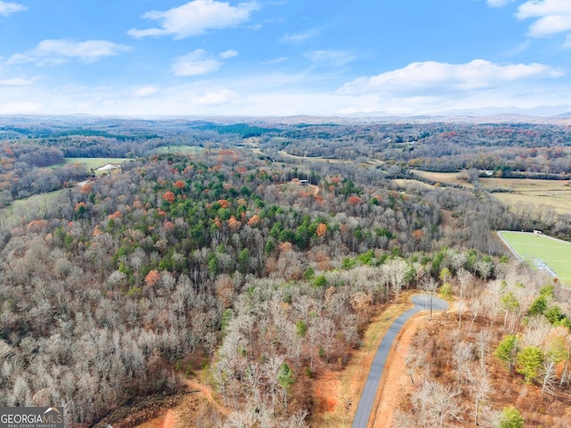 bird's eye view