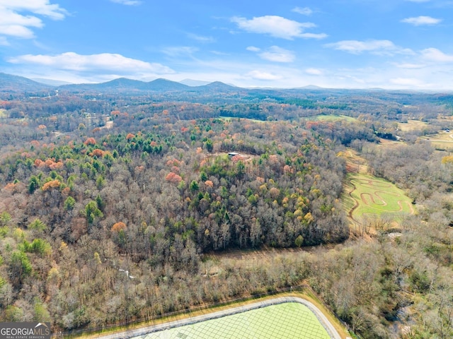 bird's eye view featuring a mountain view