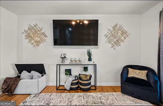 living room featuring wood-type flooring