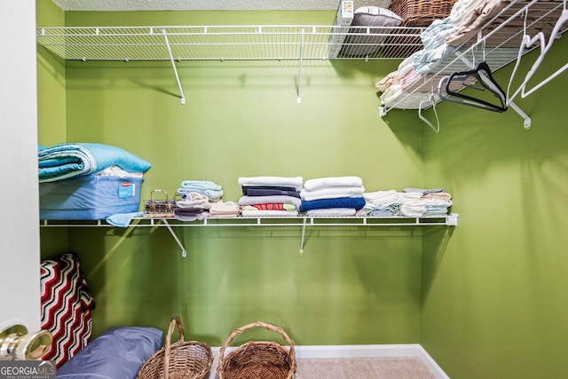 spacious closet featuring carpet floors