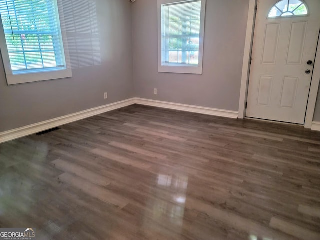 foyer entrance featuring dark hardwood / wood-style flooring and a healthy amount of sunlight