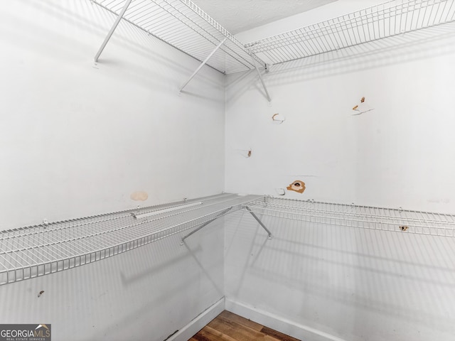 walk in closet with wood-type flooring