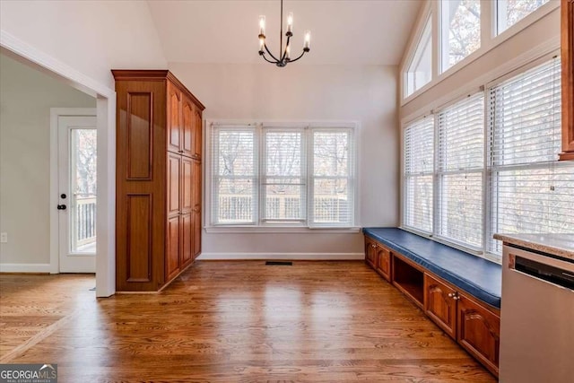 interior space featuring hardwood / wood-style floors, a wealth of natural light, and lofted ceiling