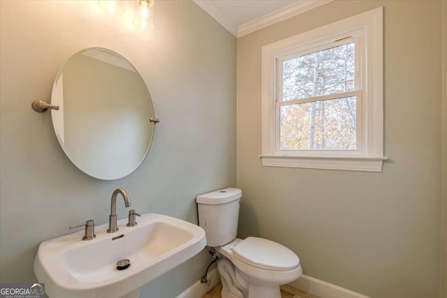 bathroom featuring crown molding, sink, and toilet