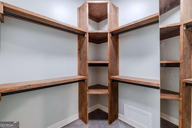 spacious closet with light carpet