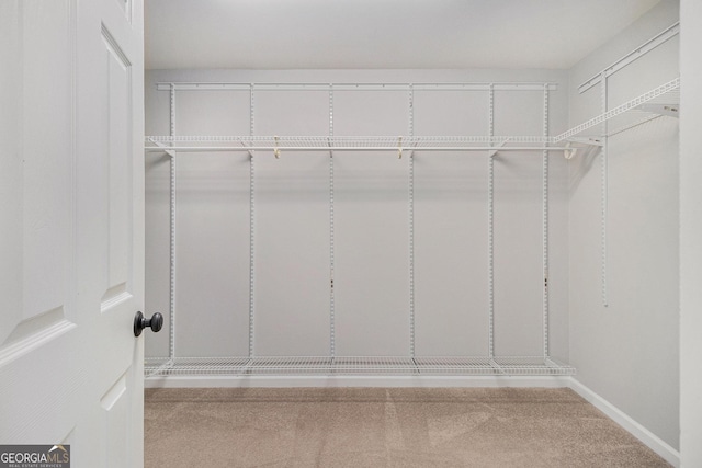 view of walk in closet