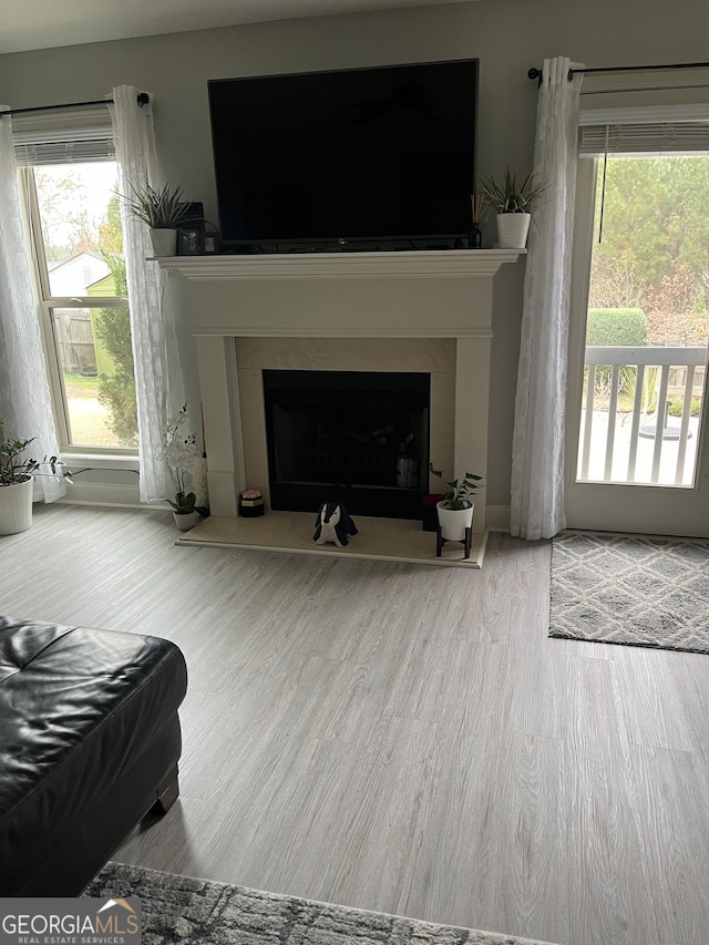 living room with hardwood / wood-style floors