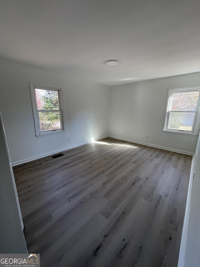 empty room featuring plenty of natural light and wood-type flooring