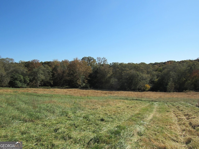 view of yard with a rural view