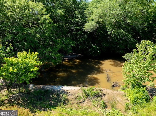 view of local wilderness