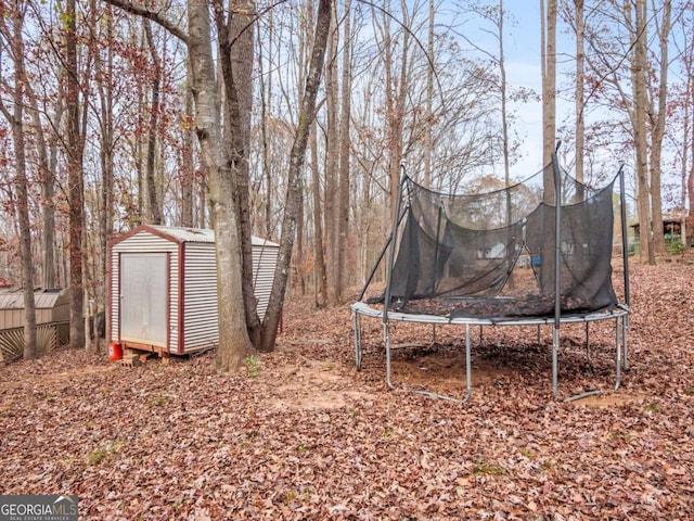 view of yard with a shed and a trampoline