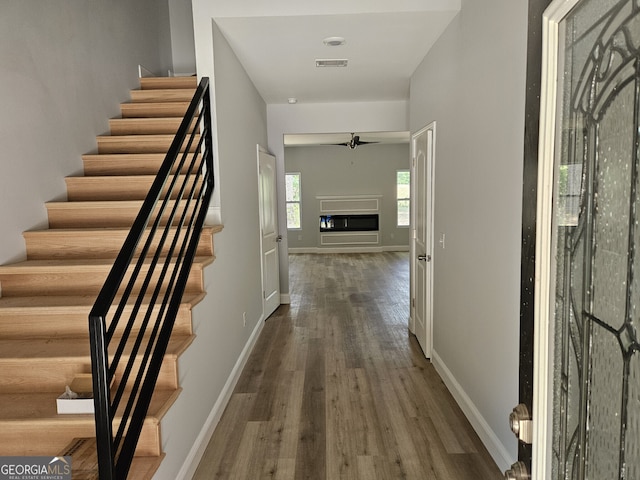 hallway with dark hardwood / wood-style flooring