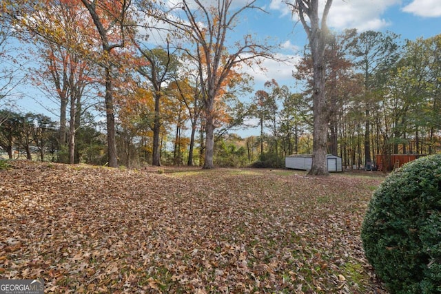 view of yard with a storage shed