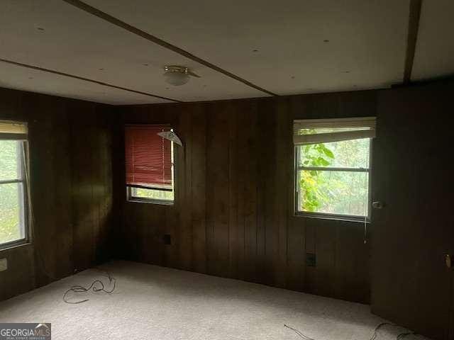 carpeted empty room featuring wood walls and a healthy amount of sunlight