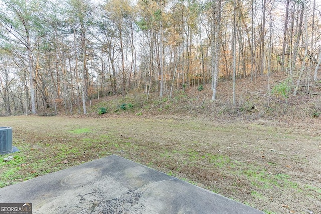 view of yard featuring central AC unit