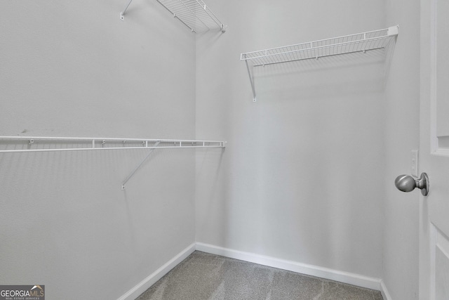 spacious closet featuring carpet