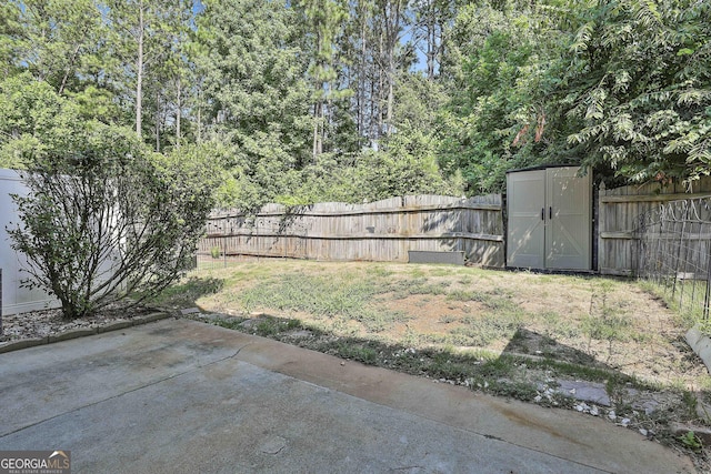 view of yard featuring a patio and a shed