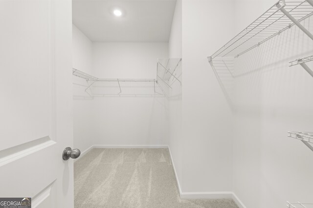 walk in closet featuring light carpet