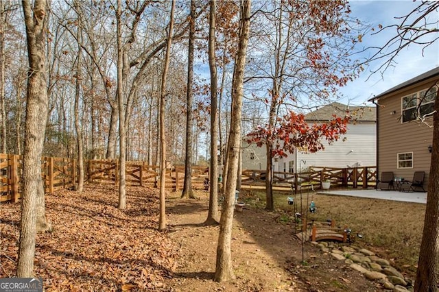 view of yard with a patio