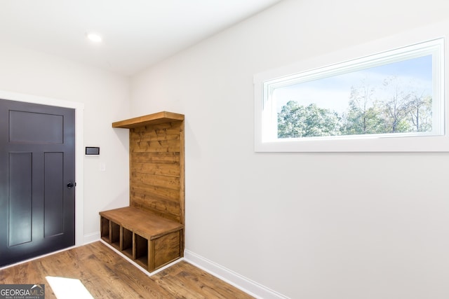 mudroom with hardwood / wood-style flooring