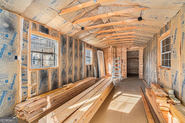 miscellaneous room with lofted ceiling