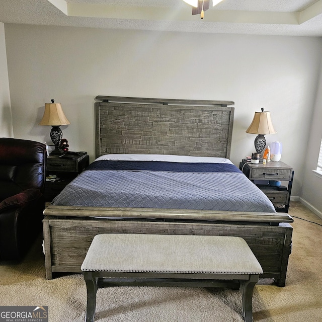 carpeted bedroom with a raised ceiling