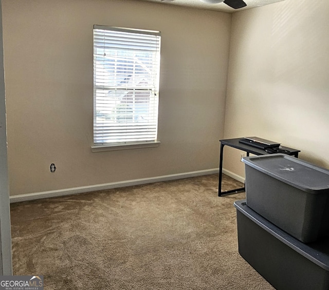 office space with carpet floors and ceiling fan