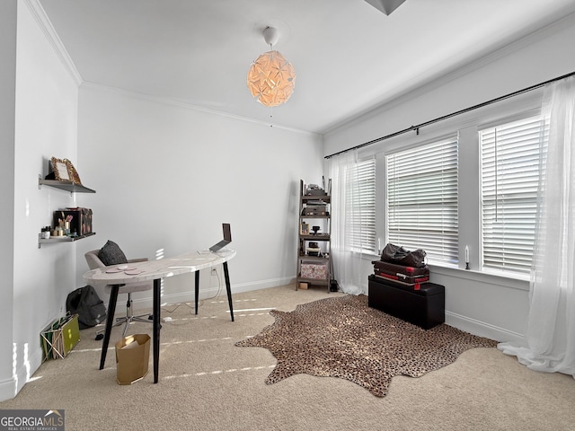 carpeted office with crown molding