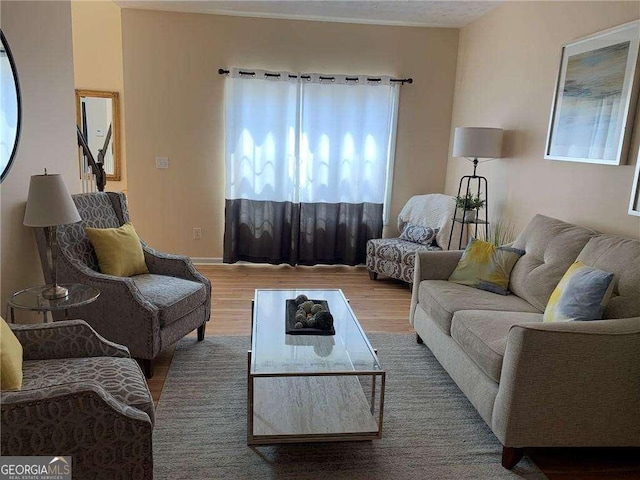 living room featuring wood-type flooring