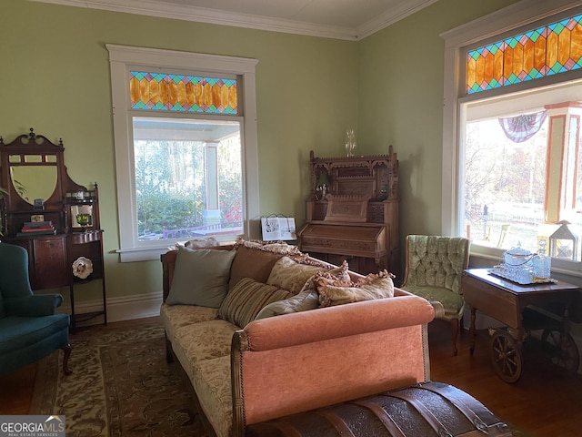 living area featuring crown molding and dark hardwood / wood-style flooring