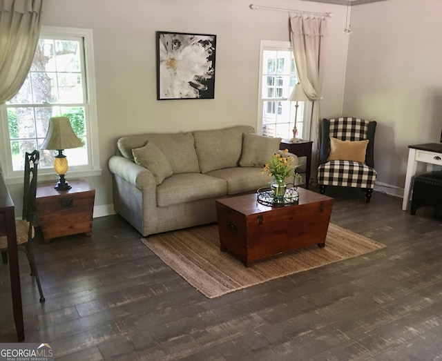 living room featuring dark wood-type flooring