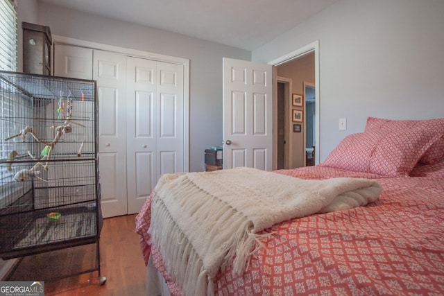 bedroom with a closet and wood-type flooring