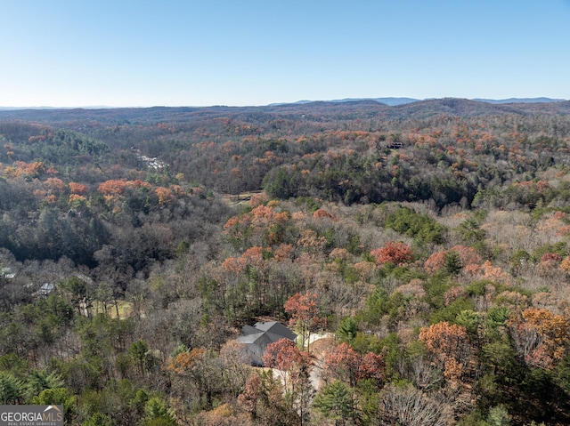 Listing photo 3 for 289 Scott Hollow Rd, Ellijay GA 30540