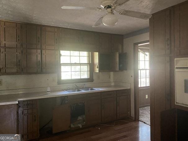 kitchen featuring plenty of natural light, ceiling fan, sink, and dark wood-type flooring