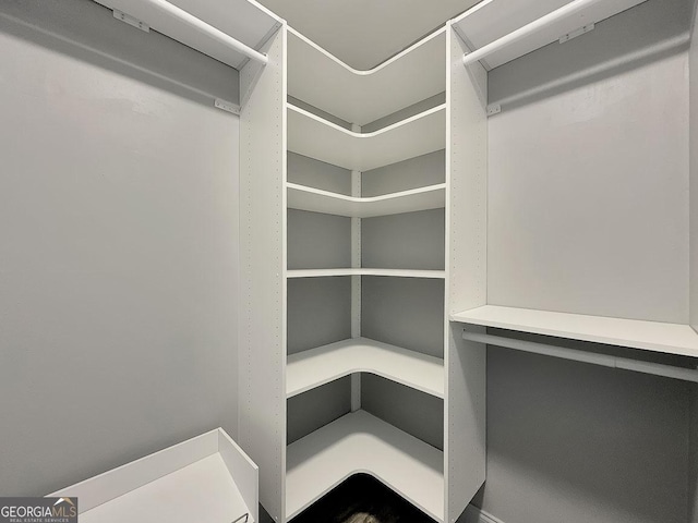 view of walk in closet