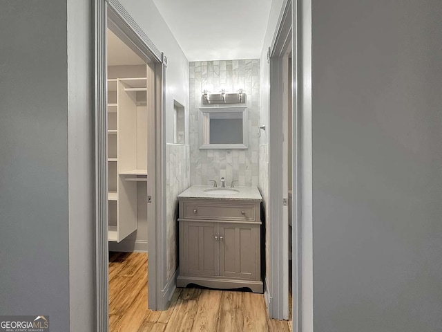 bathroom featuring wood-type flooring, vanity, and tasteful backsplash