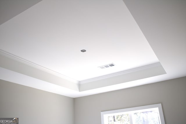 details featuring ornamental molding and a tray ceiling