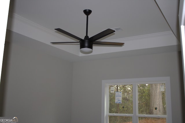 details with crown molding and ceiling fan